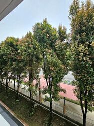 Blk 293 Keat Hong Tembusu (Choa Chu Kang), HDB 4 Rooms #507614211